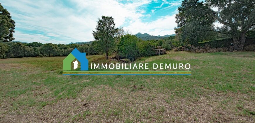 Farmhouse for sale in Gallura Sardinia ref Li Licci