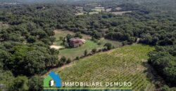 Farmhouse for sale in Gallura Sardinia ref Li Licci
