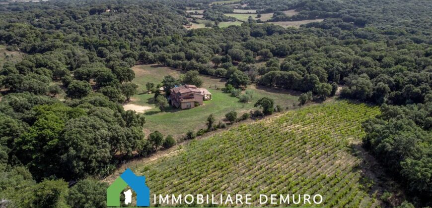 Farmhouse for sale in Gallura Sardinia ref Li Licci