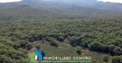 Farmhouse for sale in Gallura Sardinia ref Li Licci