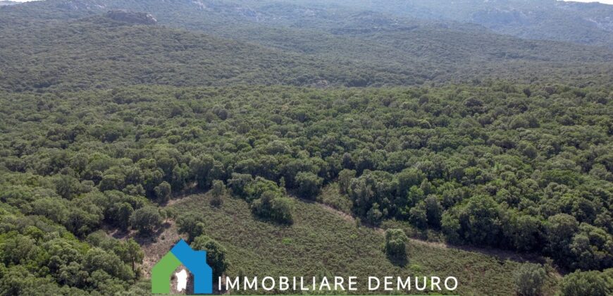 Farmhouse for sale in Gallura Sardinia ref Li Licci