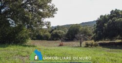 Farmhouse for sale in Gallura Sardinia ref Li Licci