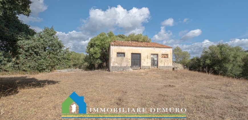 Stazzo in vendita San Antonio di Gallura Ref Fichicani