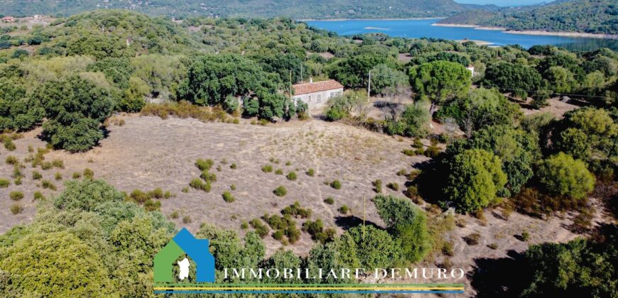 Stazzo in vendita San Antonio di Gallura Ref Fichicani