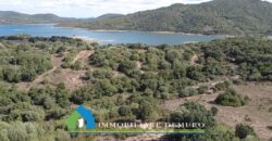 Stazzo in vendita San Antonio di Gallura Ref Fichicani