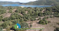 Stazzo in vendita San Antonio di Gallura Ref Fichicani