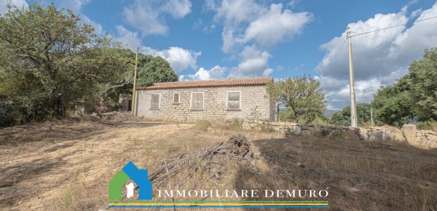 Stazzo in vendita San Antonio di Gallura Ref Fichicani