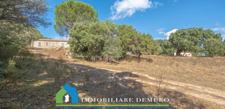 Stazzo in vendita San Antonio di Gallura Ref Fichicani