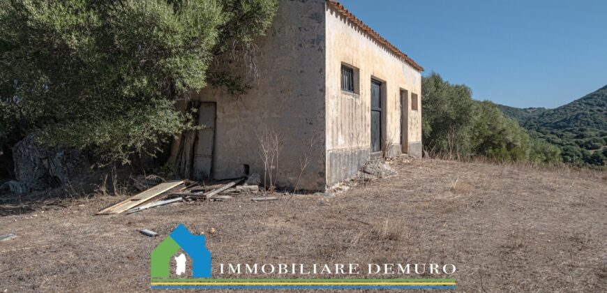 Stazzo in vendita San Antonio di Gallura Ref Fichicani
