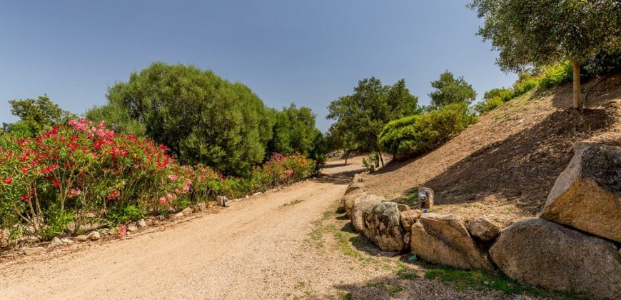 Villa mit Meerblick zu verkaufen in San Pantaleo