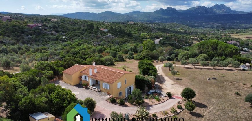 Haus- Zum Verkauf In San Pantaleo