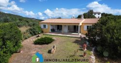Haus- Zum Verkauf In San Pantaleo