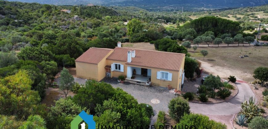 Haus- Zum Verkauf In San Pantaleo