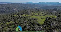 Azienda agricola in vendita in Gallura ref Cuncosu