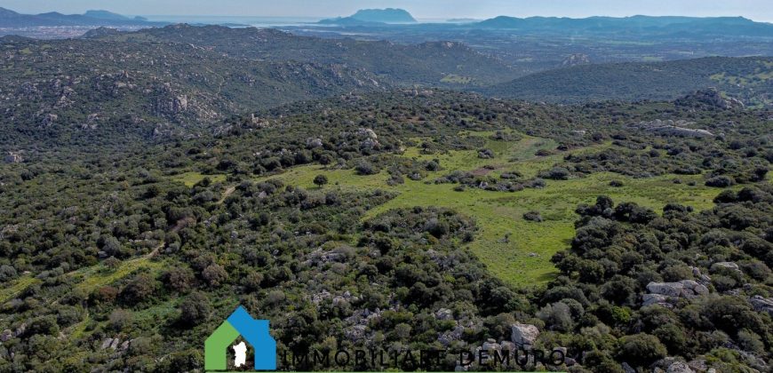 Azienda agricola in vendita in Gallura ref Cuncosu