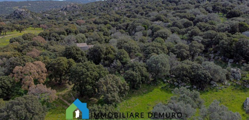 Azienda agricola in vendita in Gallura ref Cuncosu