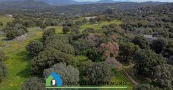 Azienda agricola in vendita in Gallura ref Cuncosu