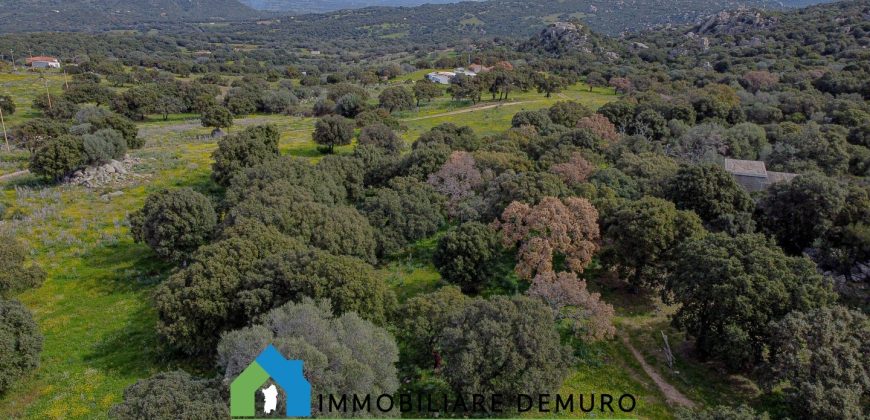 Azienda agricola in vendita in Gallura ref Cuncosu