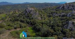 Azienda agricola in vendita in Gallura ref Cuncosu