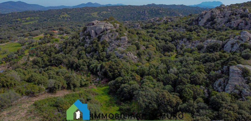 Azienda agricola in vendita in Gallura ref Cuncosu