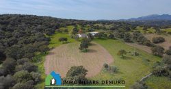 Azienda agricola in vendita in Gallura ref Cuncosu