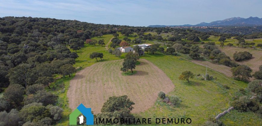 Azienda agricola in vendita in Gallura ref Cuncosu