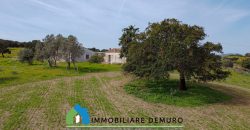 Azienda agricola in vendita in Gallura ref Cuncosu