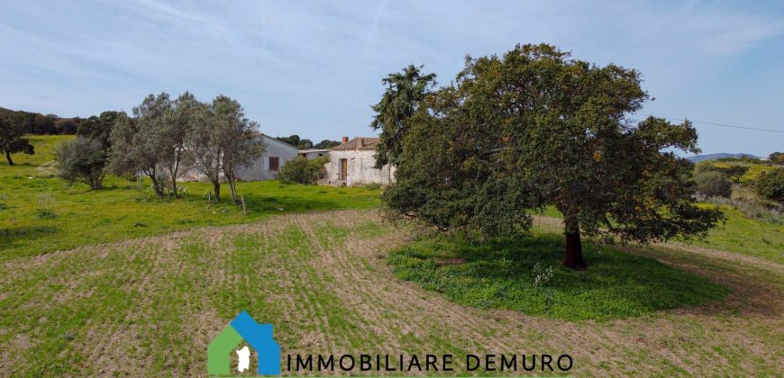 Azienda agricola in vendita in Gallura ref Cuncosu