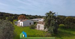 Azienda agricola in vendita in Gallura ref Cuncosu