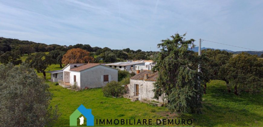 Azienda agricola in vendita in Gallura ref Cuncosu