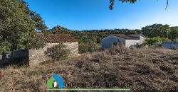 Azienda agricola in vendita in Gallura ref Cuncosu
