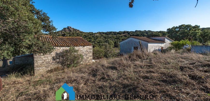 Azienda agricola in vendita in Gallura ref Cuncosu