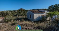 Azienda agricola in vendita in Gallura ref Cuncosu