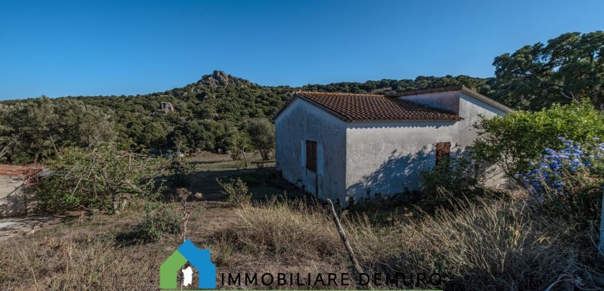 Azienda agricola in vendita in Gallura ref Cuncosu