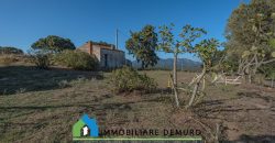 Azienda agricola in vendita in Gallura ref Cuncosu