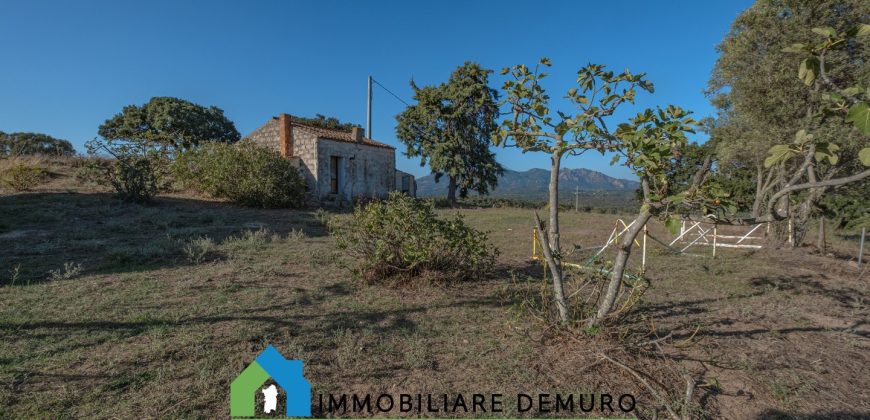 Azienda agricola in vendita in Gallura ref Cuncosu