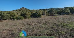 Azienda agricola in vendita in Gallura ref Cuncosu