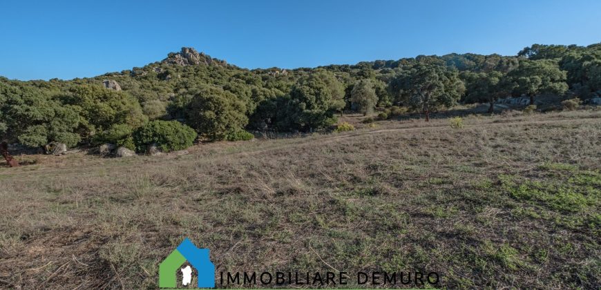 Azienda agricola in vendita in Gallura ref Cuncosu