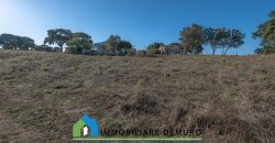 Azienda agricola in vendita in Gallura ref Cuncosu