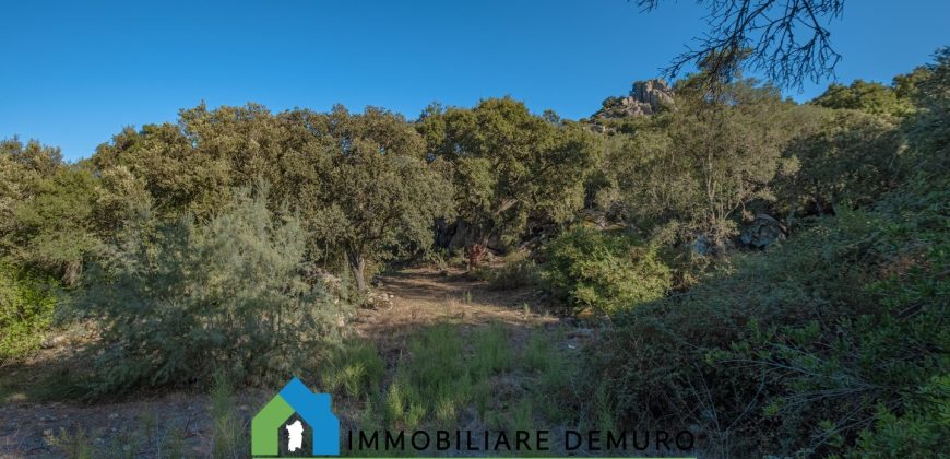 Azienda agricola in vendita in Gallura ref Cuncosu