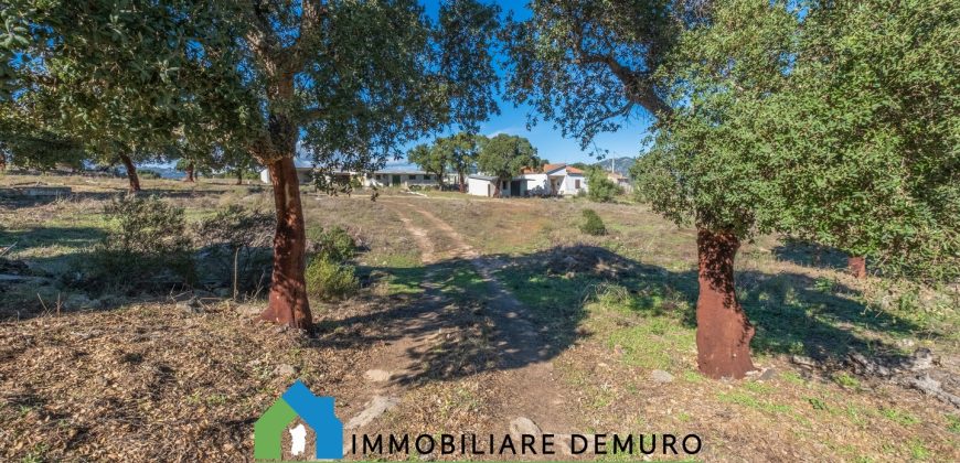 Azienda agricola in vendita in Gallura ref Cuncosu