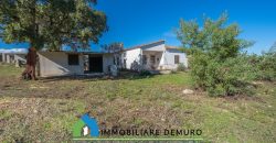 Azienda agricola in vendita in Gallura ref Cuncosu