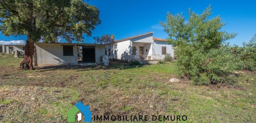 Azienda agricola in vendita in Gallura ref Cuncosu
