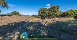 Azienda agricola in vendita in Gallura ref Cuncosu