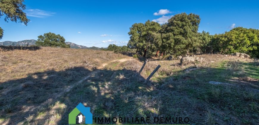 Azienda agricola in vendita in Gallura ref Cuncosu