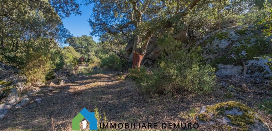Azienda agricola in vendita in Gallura ref Cuncosu