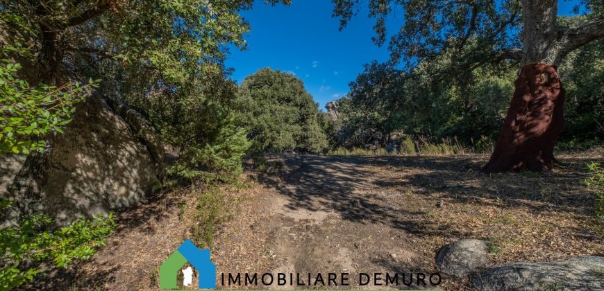 Azienda agricola in vendita in Gallura ref Cuncosu
