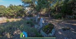Azienda agricola in vendita in Gallura ref Cuncosu