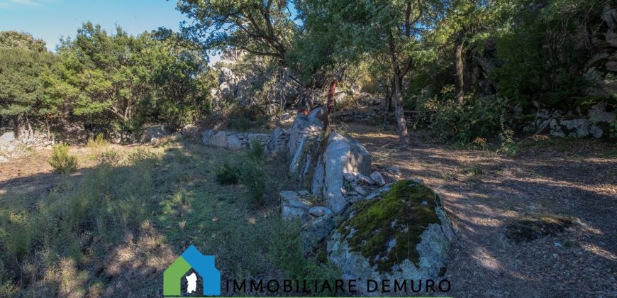 Azienda agricola in vendita in Gallura ref Cuncosu