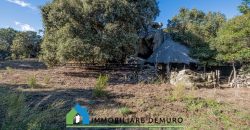 Azienda agricola in vendita in Gallura ref Cuncosu